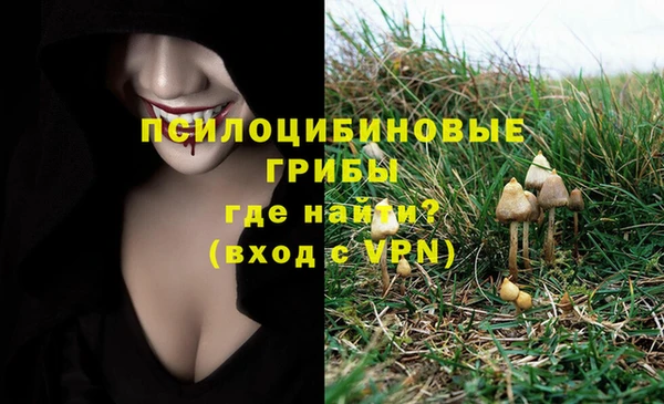 соль курить ск Алзамай